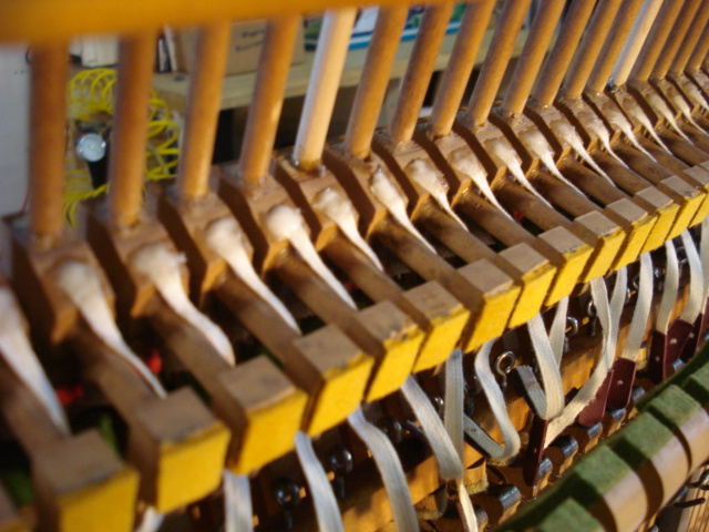 A23 Bridle tapes glued in place A23 Bridle tapes glued in place